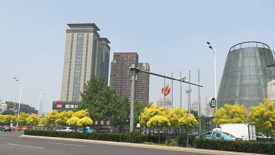 s小姐2.gif