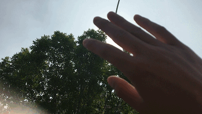 s小姐5.gif